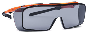 INFIELD Schutzbrille Ontor grau