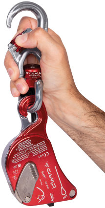 11754